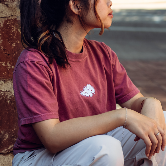 Red Cloud Embroidered T-Shirt/Sweatshirt